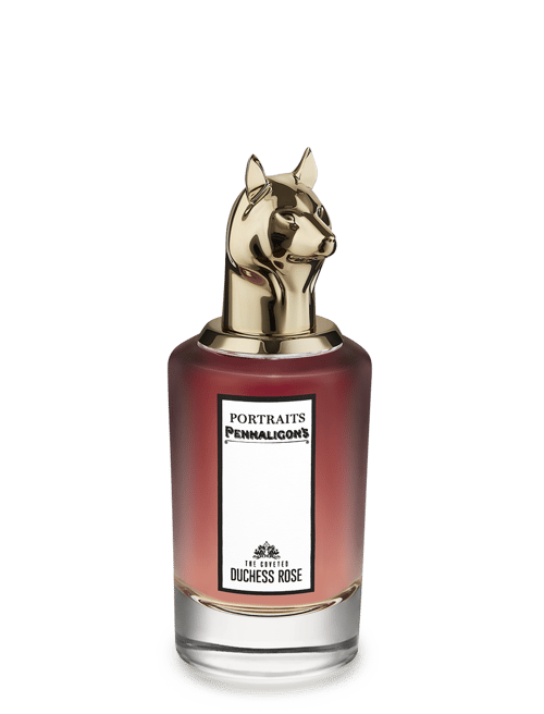 The Coveted Duchess Rose