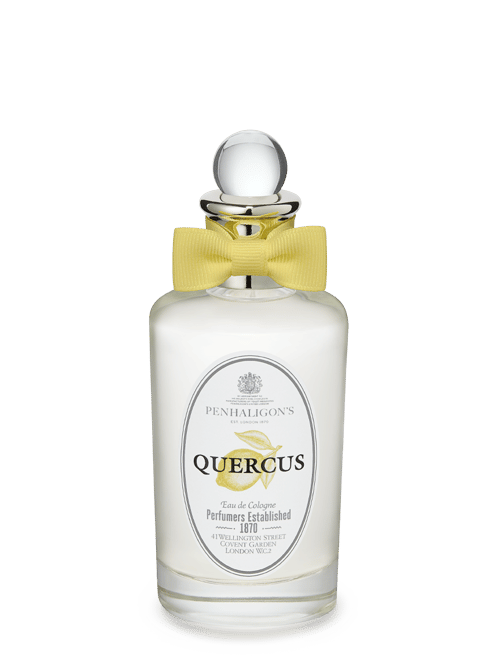 Quercus